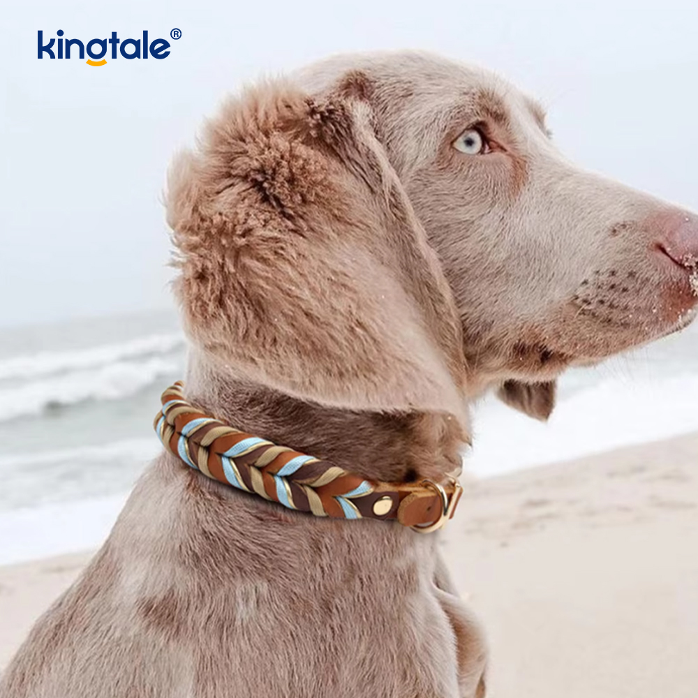 Zachte en duurzame lederen halsband en riemset