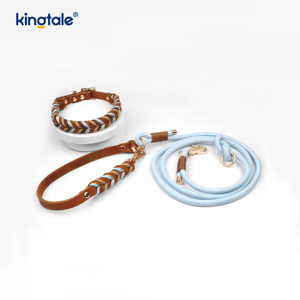 Zachte en duurzame lederen halsband en riemset
