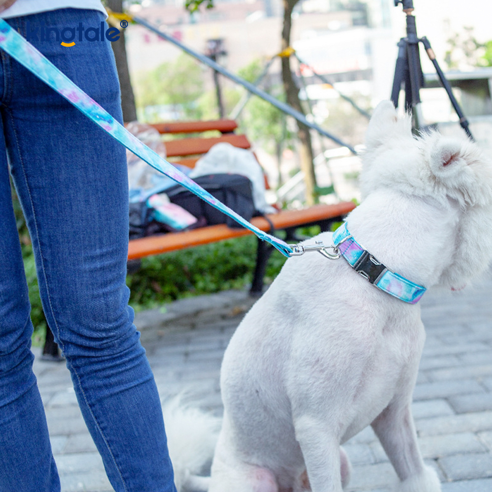 Dromerige sterrenhemel halsband voor honden in Amazon-stijl