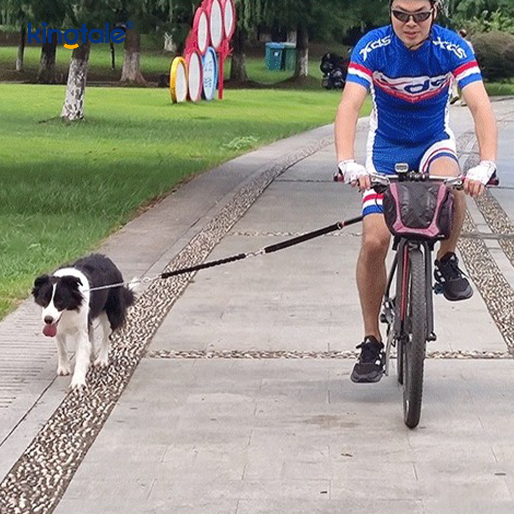 Fiets hondenriem bevestiging Handsfree fietsen Hond trekkabel