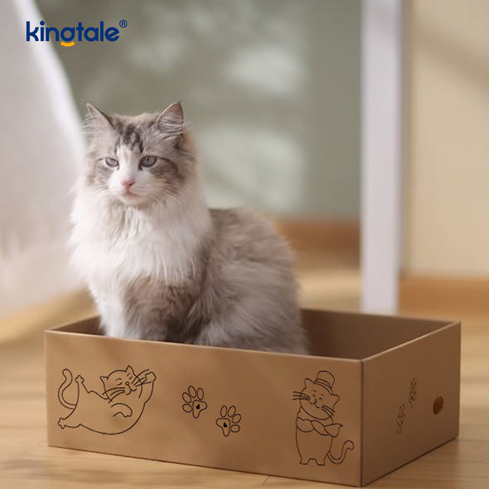 5 verpakkingen in 1 kattenkrabkussen met doos Geschikt voor katten