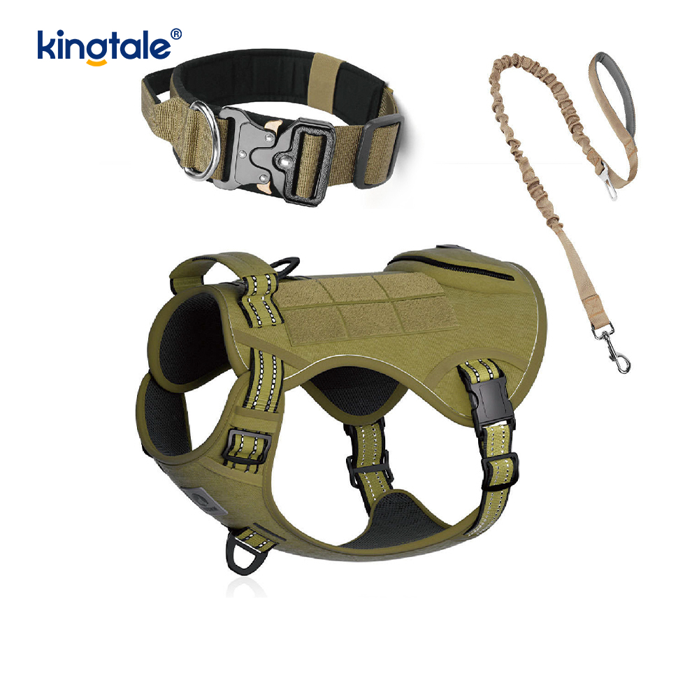 Training Nylon Geen trekhalsband Harnasset met bediening