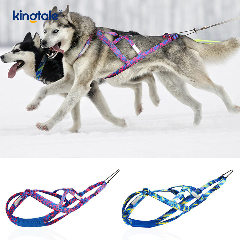 Hond trekt Husky Mushing-harnas X-rugharnas voor honden